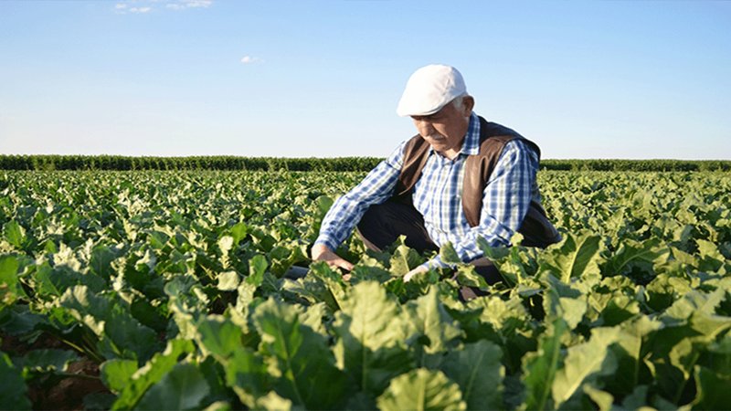 O belediyeden üreticiye büyük destek