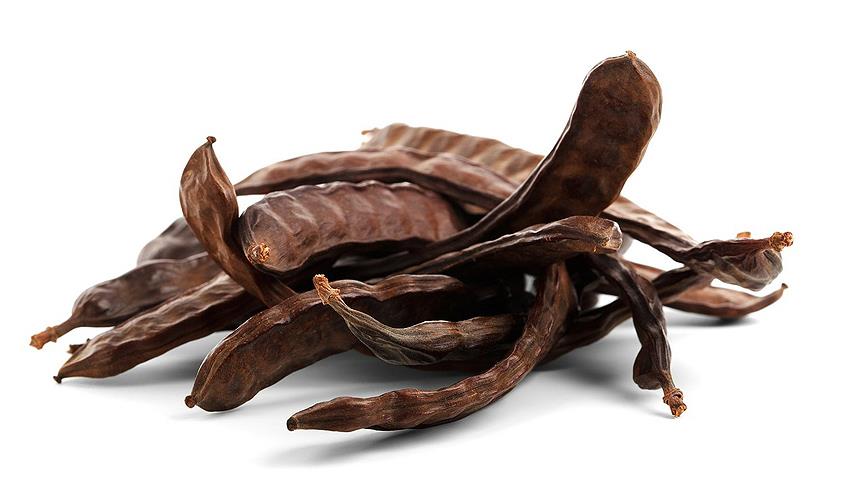 Keçiboynuzundan çikolata üretildi