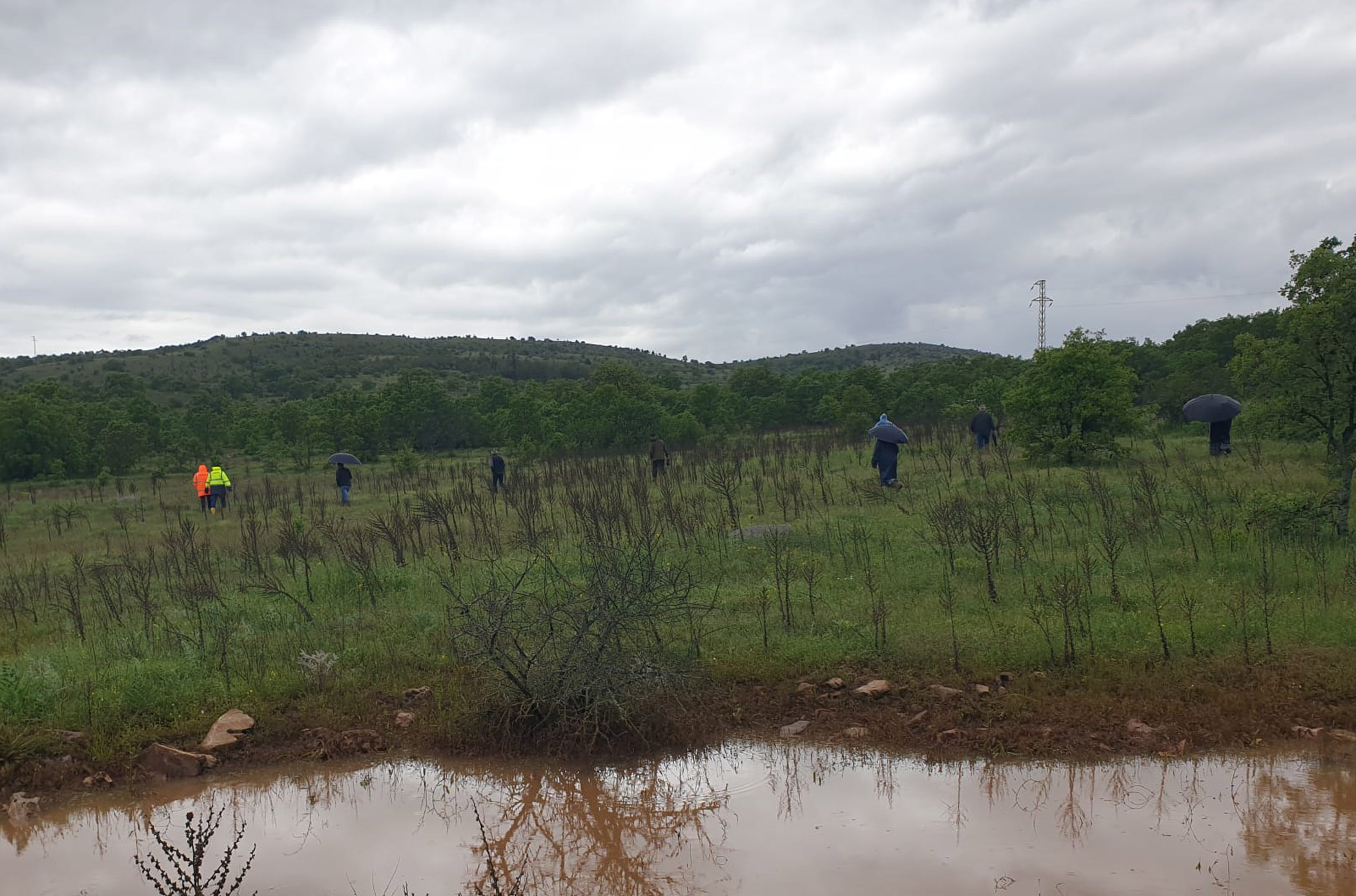 Mantar toplamak için gittiği ormanda kayboldu