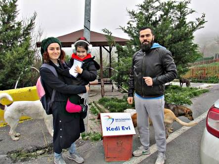 Beylikdüzü’ndeki kedilere ev hediye