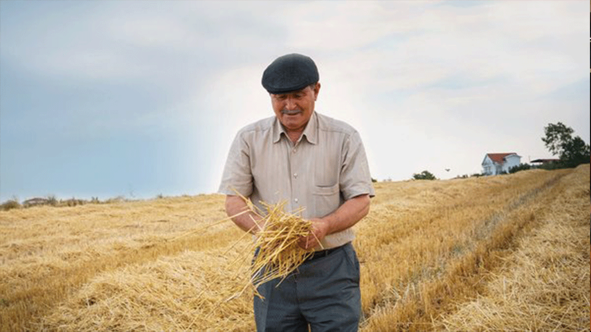 Çiftçilere 28 ton katı organik gübre