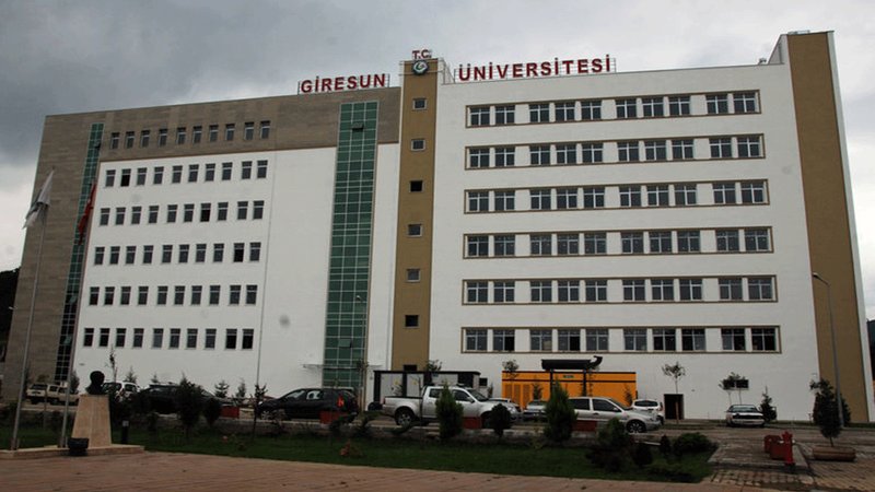 Giresun Üniversitesi, profesör alacak