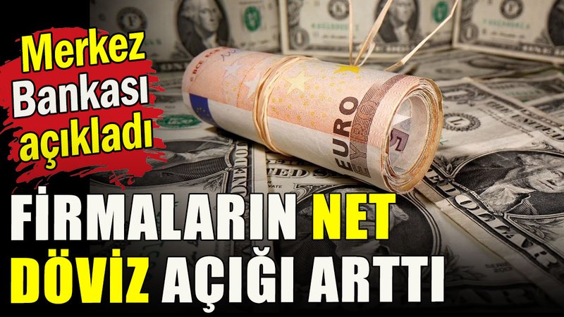 Firmaların net döviz açığı arttı