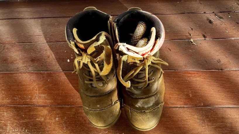 Botundan çıkanla şoke oldu