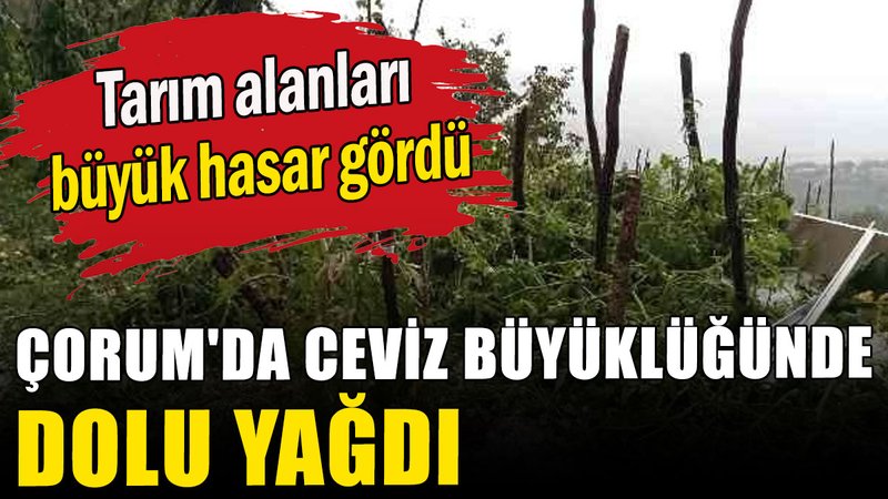 Çorum'da ceviz büyüklüğünde dolu yağdı