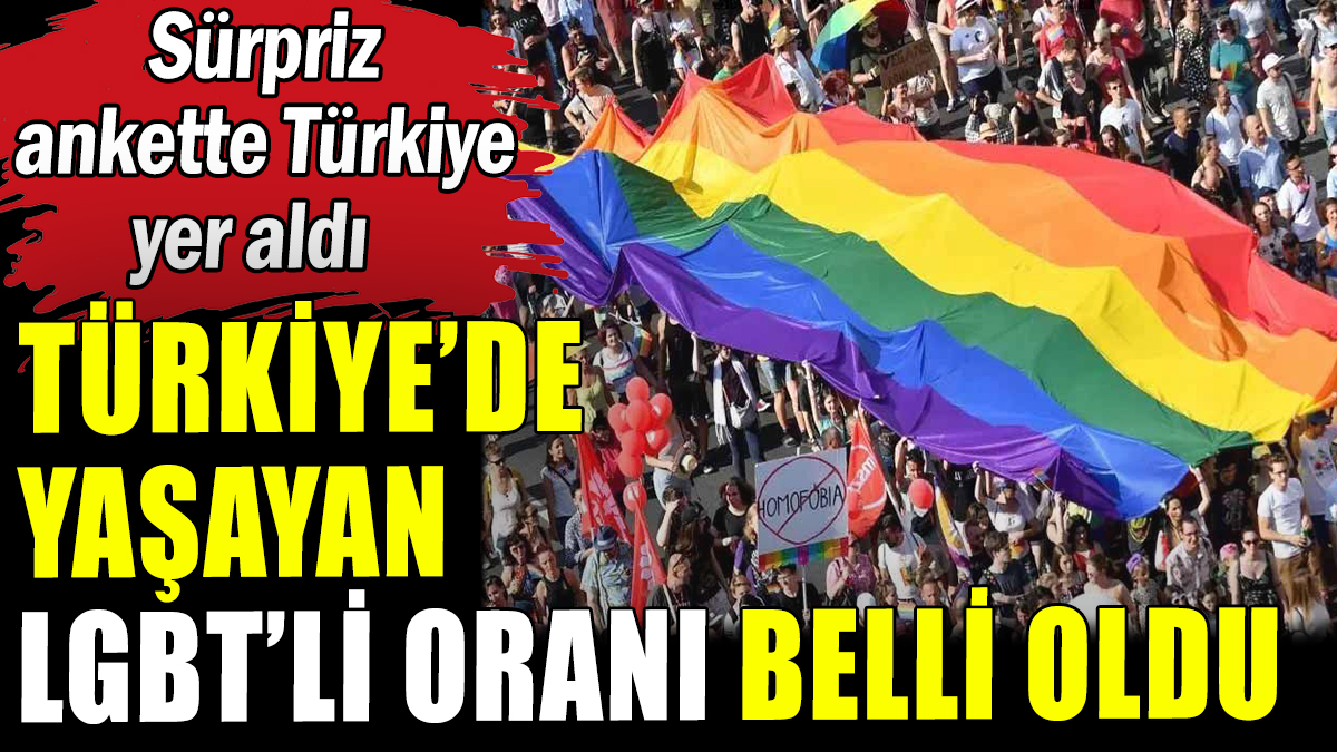 Türkiye LGBT ile ilgili yapılan sürpriz ankette yer aldı