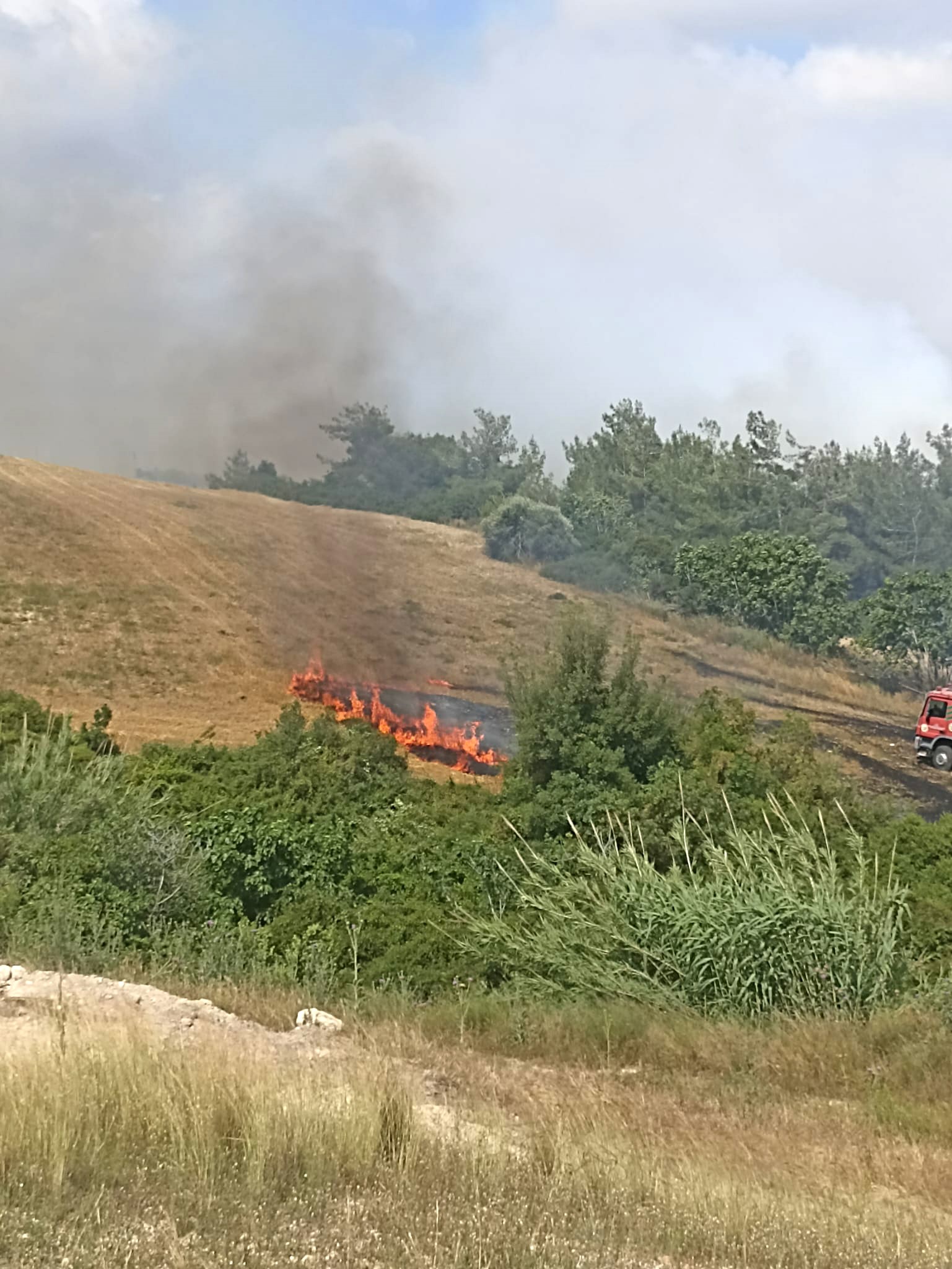 Adana'da yangın ormana sıçradı