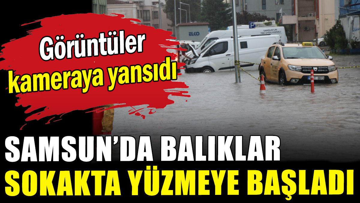 Samsun'da balıklar sokakta yüzmeye başladı