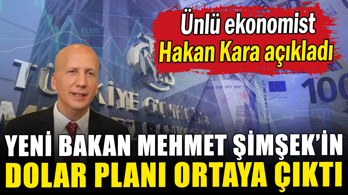 Eski Merkez Bankası başekonomisti Hakan Kara, Mehmet Şimşek'in dolar planını açıkladı