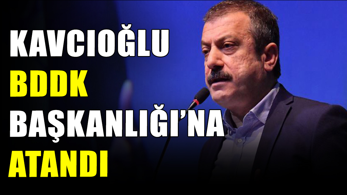 Şahap Kavcıoğlu'nun yeni adresi BDDK oldu
