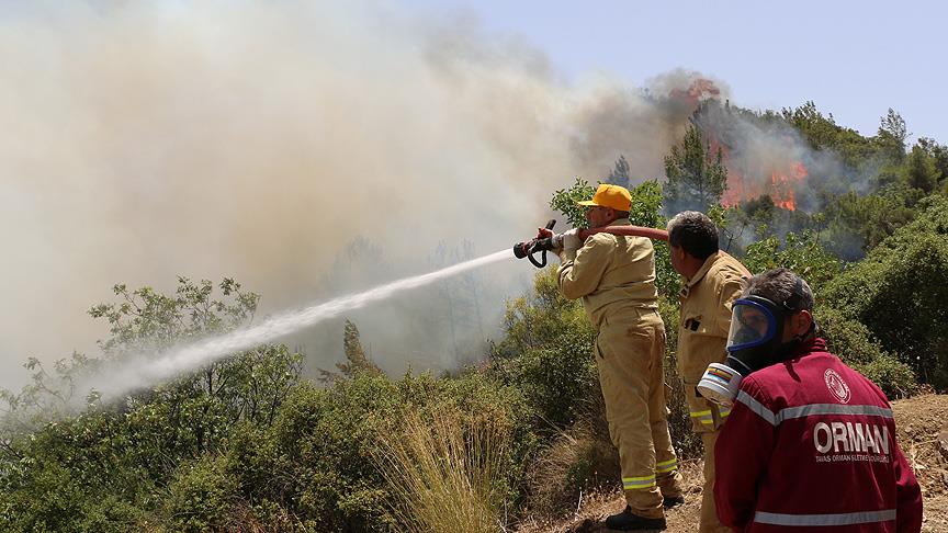 Muğla'da 28 orman yangını çıktı