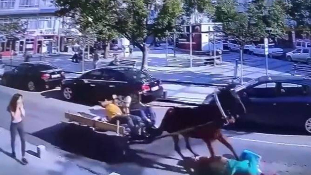 Tekirdağ'da 51 yaşındaki kadına at çarptı