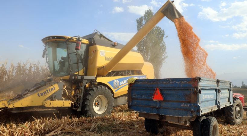 Günlük hububat alım kapasitesini artırıyor