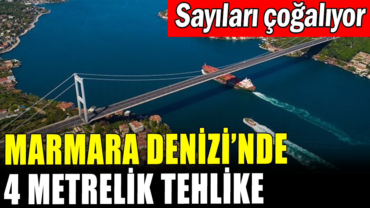 Marmara Denizi'nde 4 metrelik tehlike