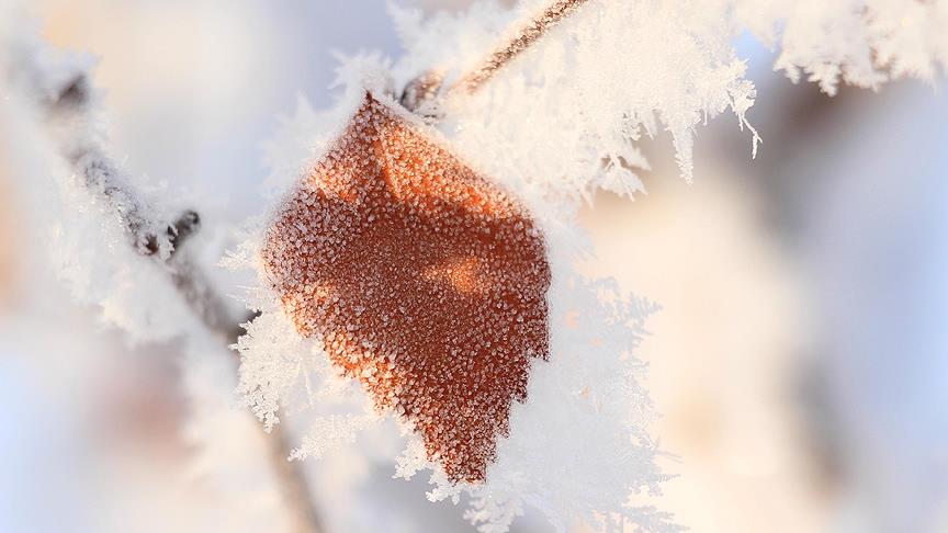 Meteorolojiden zirai don uyarısı