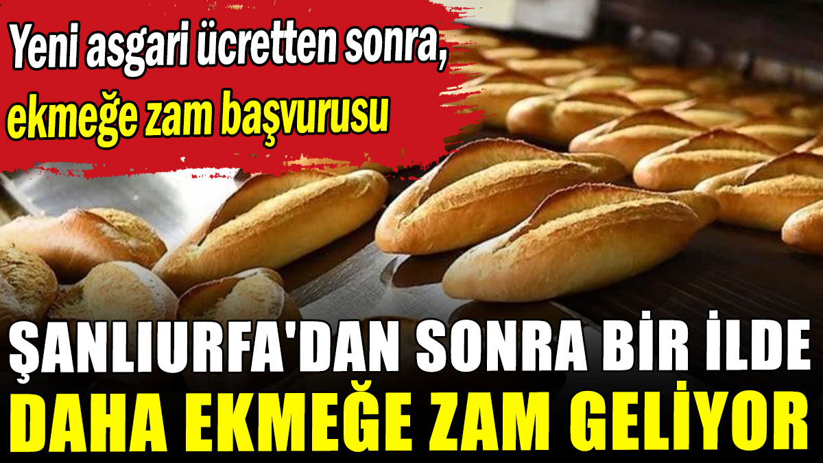 Şanlıurfa'dan sonra bir ilde daha ekmeğe zam geliyor