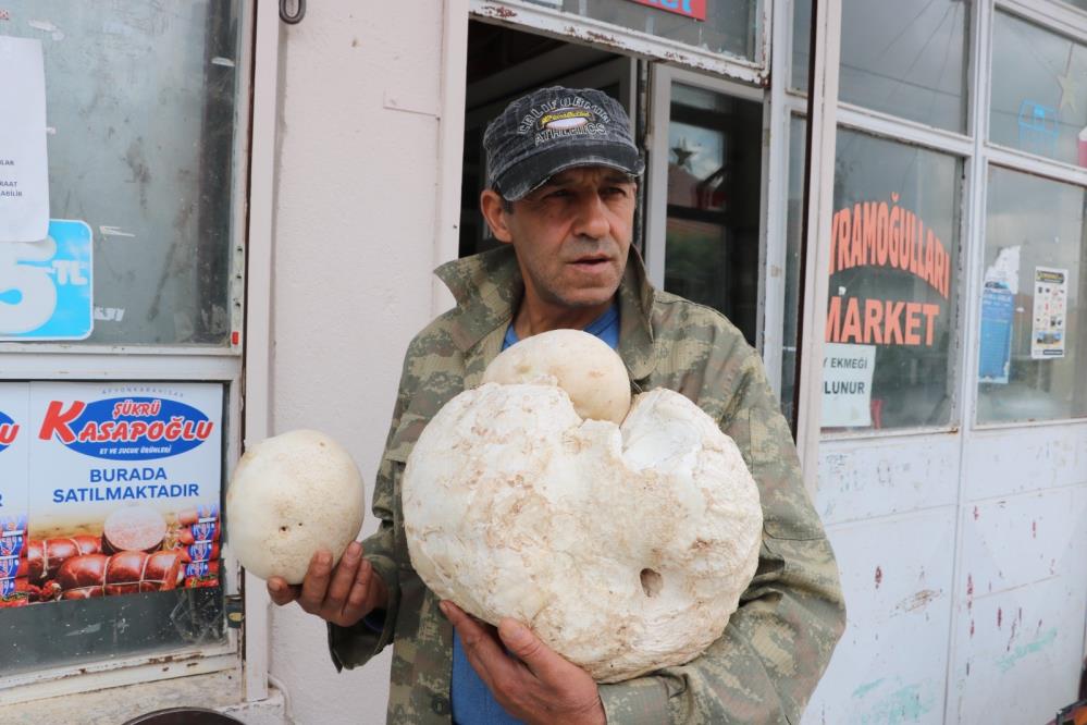 3 kilogramlık mantar görenleri hayrete düşürdü