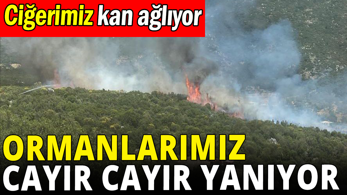 Antalya'da korkutan yangın