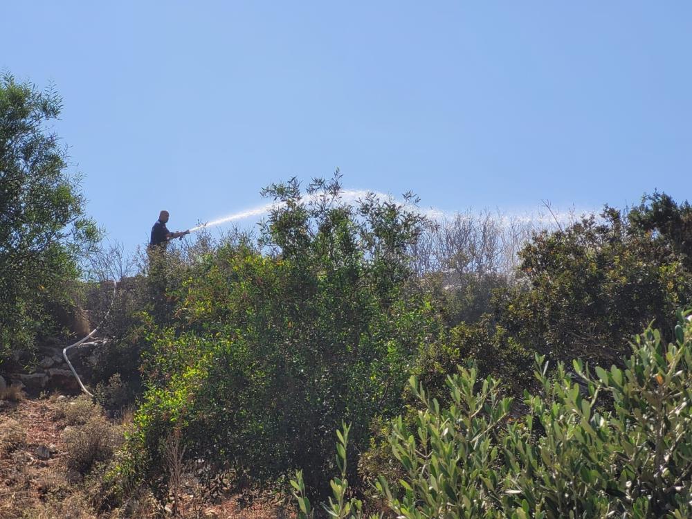 Aydın Didim'de yangın