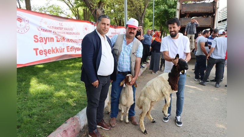 Depremzedelerin yaraları sarılıyor