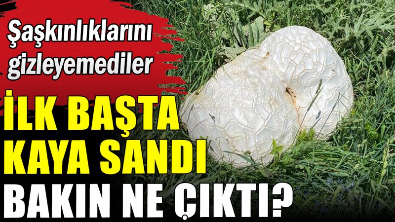 Bulduğunda kaya sandı bakın ne çıktı?