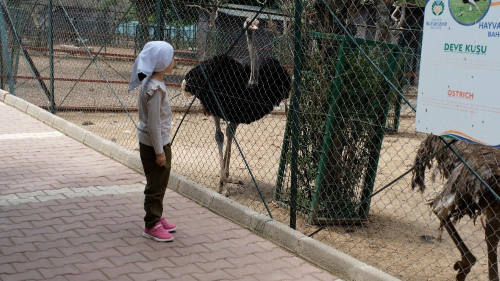 Kurban Bayramı’nda hayvanat bahçesi öğrencilere ücretsiz olacak