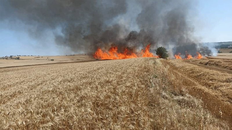 30 dönüm buğday ekili arazi kül oldu