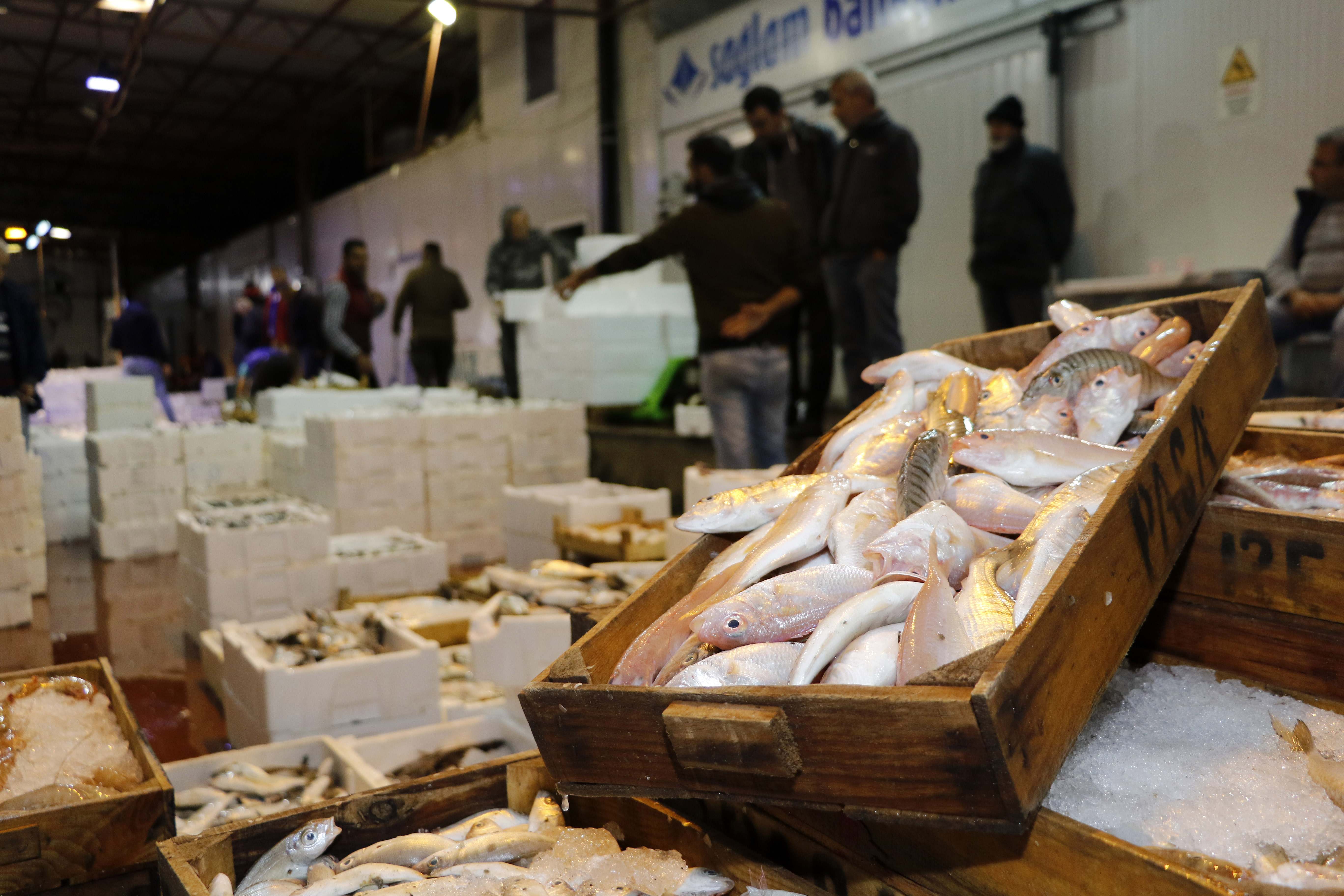 Denizlerde avlanan balık miktarı 4 yılda yüzde 32 azaldı