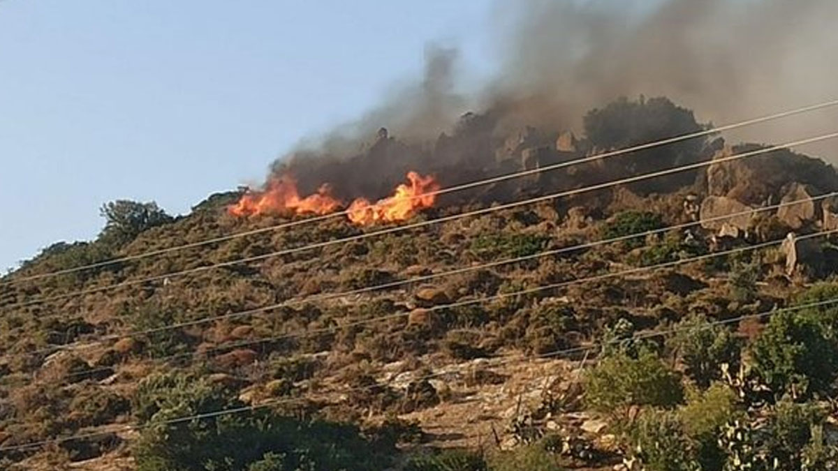 Muğla Valiliğinden orman yangınlarına karşı dikkatli olunması uyarısı