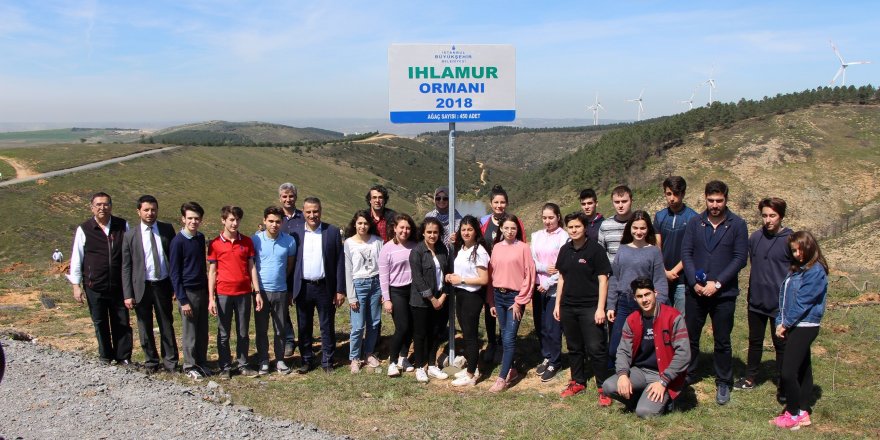 İBB, 450 ıhlamur fidanı dikti