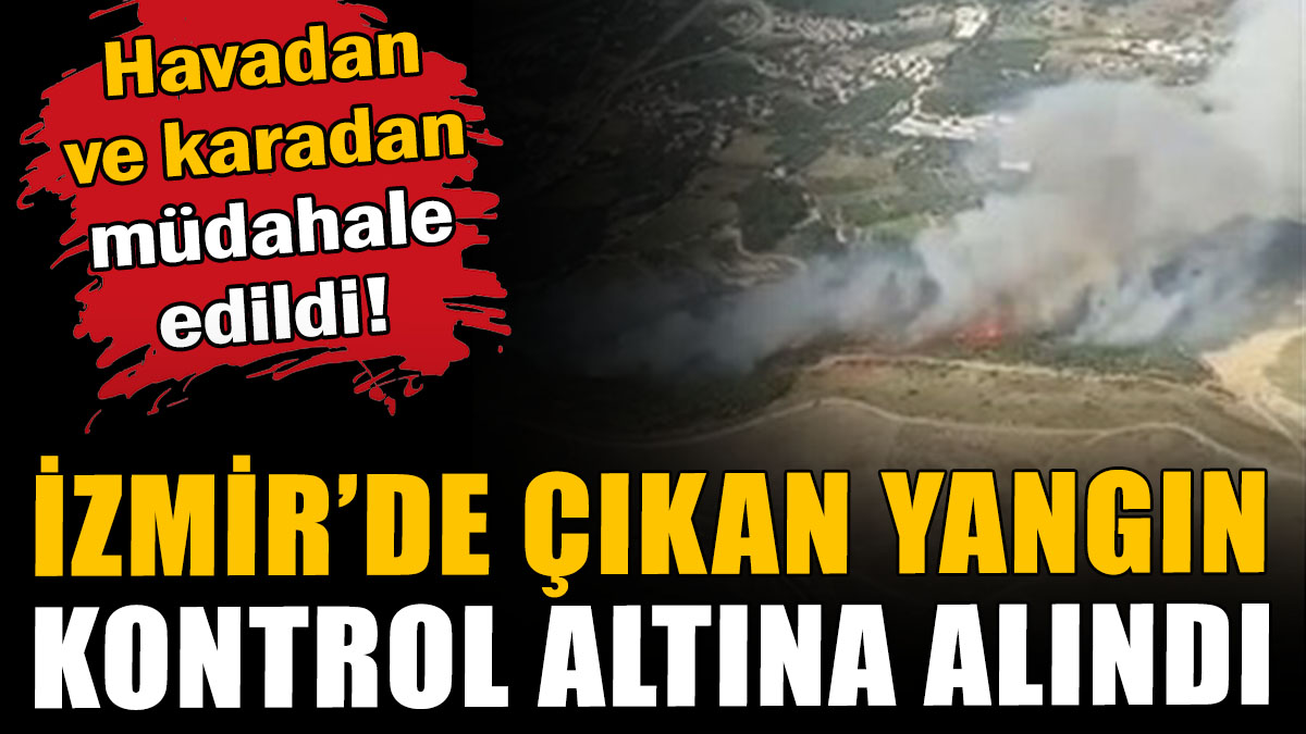 İzmir'deki orman yangını kontrol altına alındı