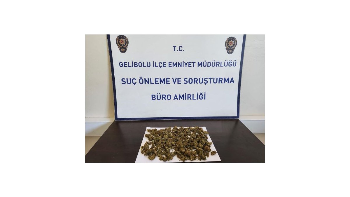 Gelibolu’da sırt çantasından 90 gram skunk çıktı
