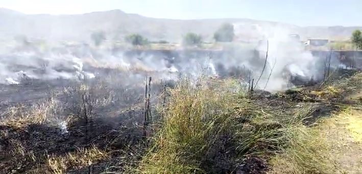 Elazığ’da 10 dönüm tarım arazisi yandı