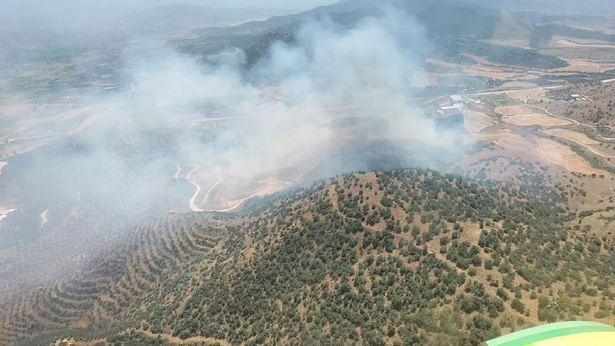 İzmir'deki yangın kontrol altına alındı