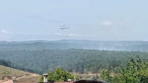 Sultangazi'de orman yangını söndürüldü