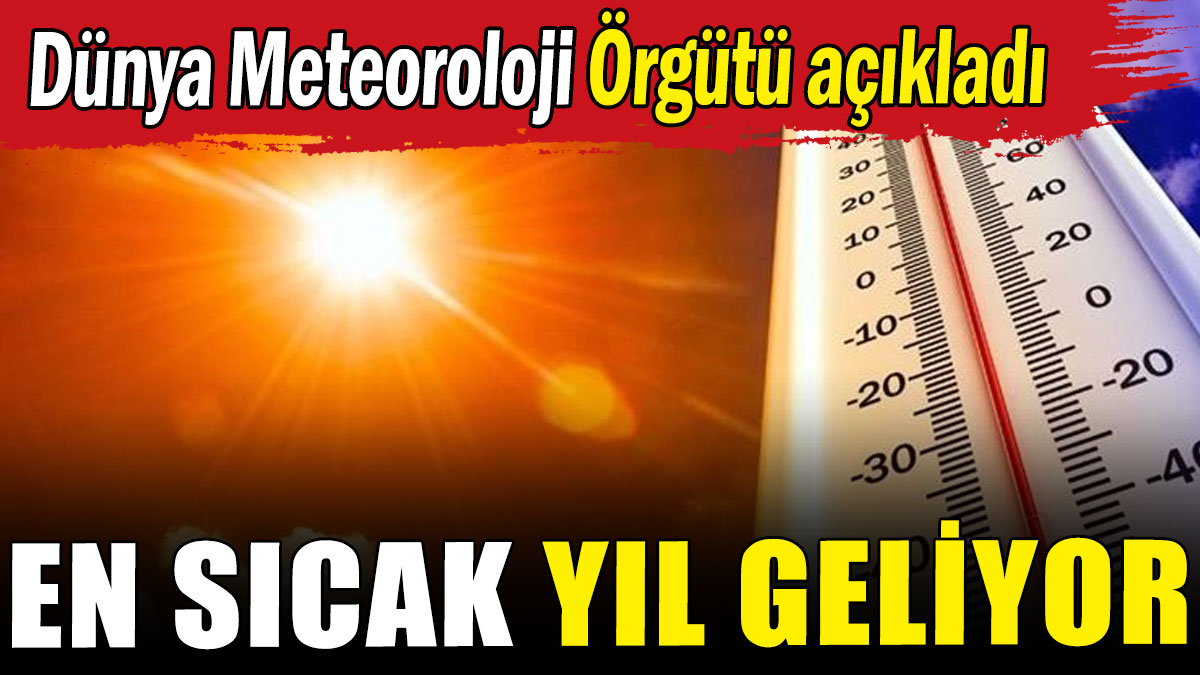 Dünya Meteoroloji Örgütü'den 'en sıcak yıl' uyarısı