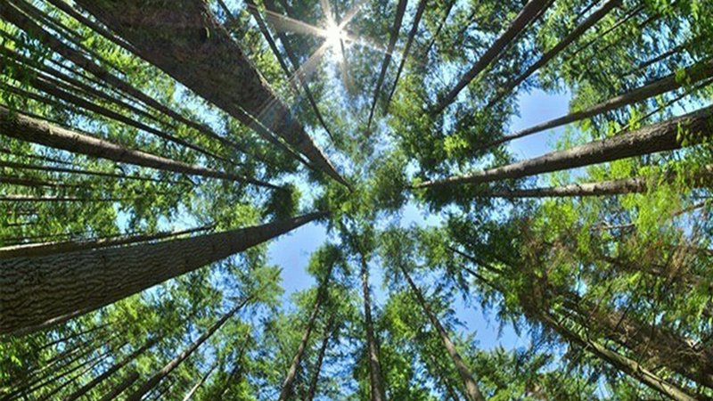 Valilik peş peşe açıkladı! Bir ilde daha yasaklandı