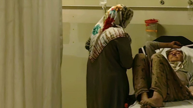 Çilek toplayan kadını yılan ısırdı