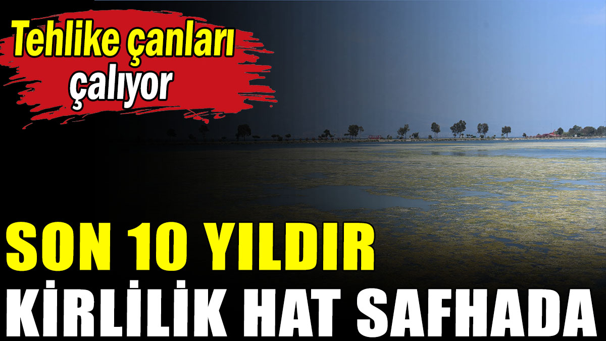 İzmir'de 'makroalg' alarmı