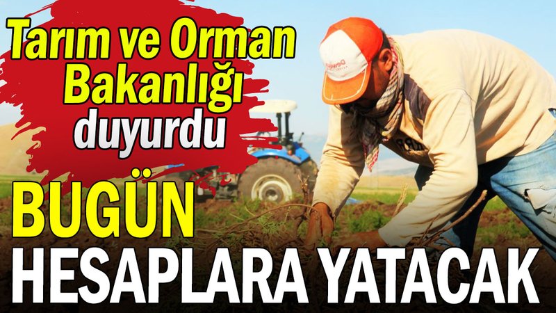 Tarım ve Orman Bakanlığı duyurdu: Bugün hesaplara yatacak