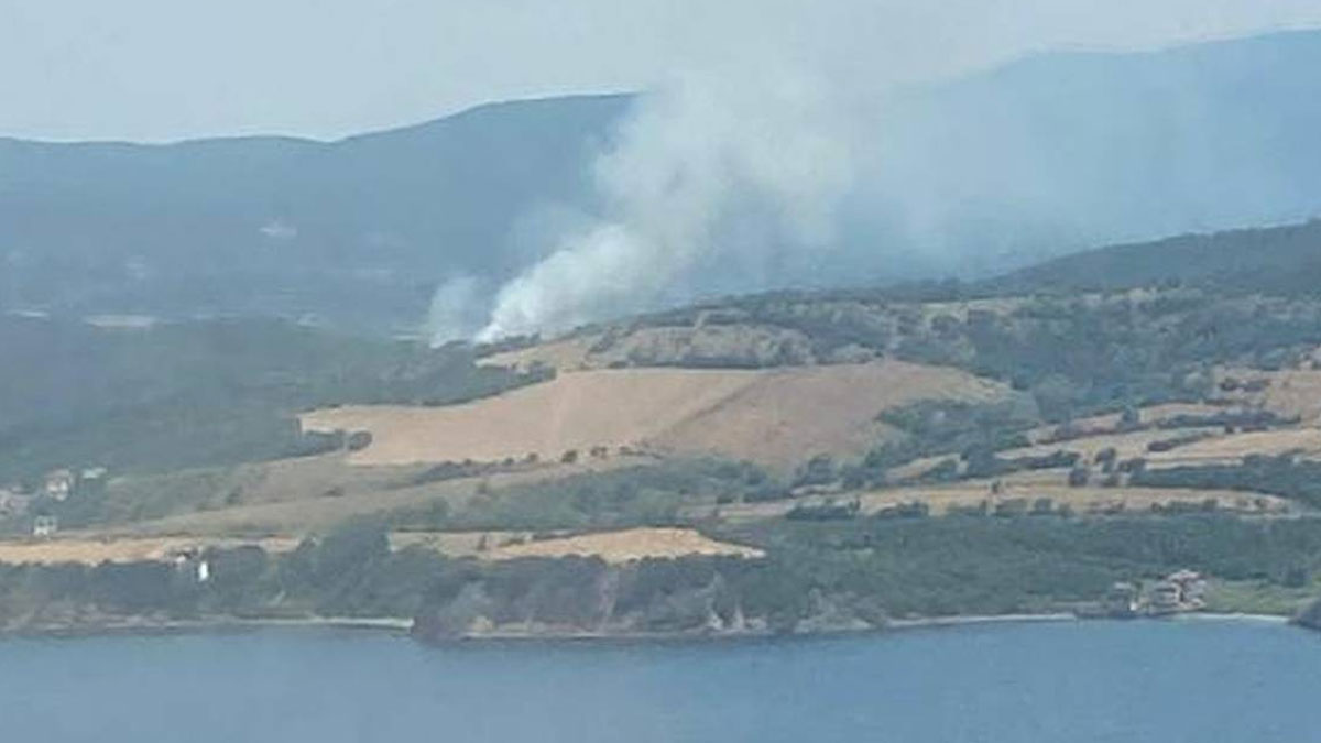 Çanakkale'de orman yangını