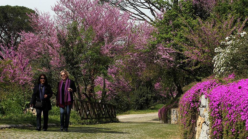Hava sıcaklıkları hissedilir derecede artacak