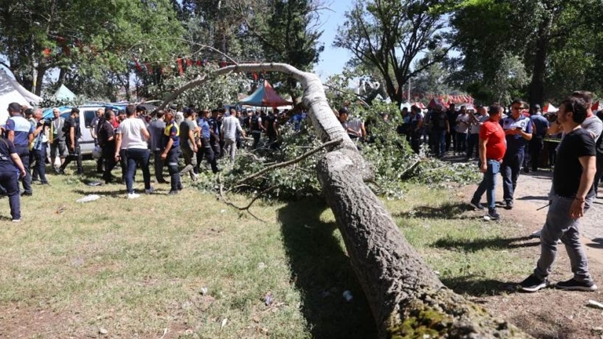 Kırkpınar Yağlı Güreşleri'nde ağaç devrildi: 2 yaralı