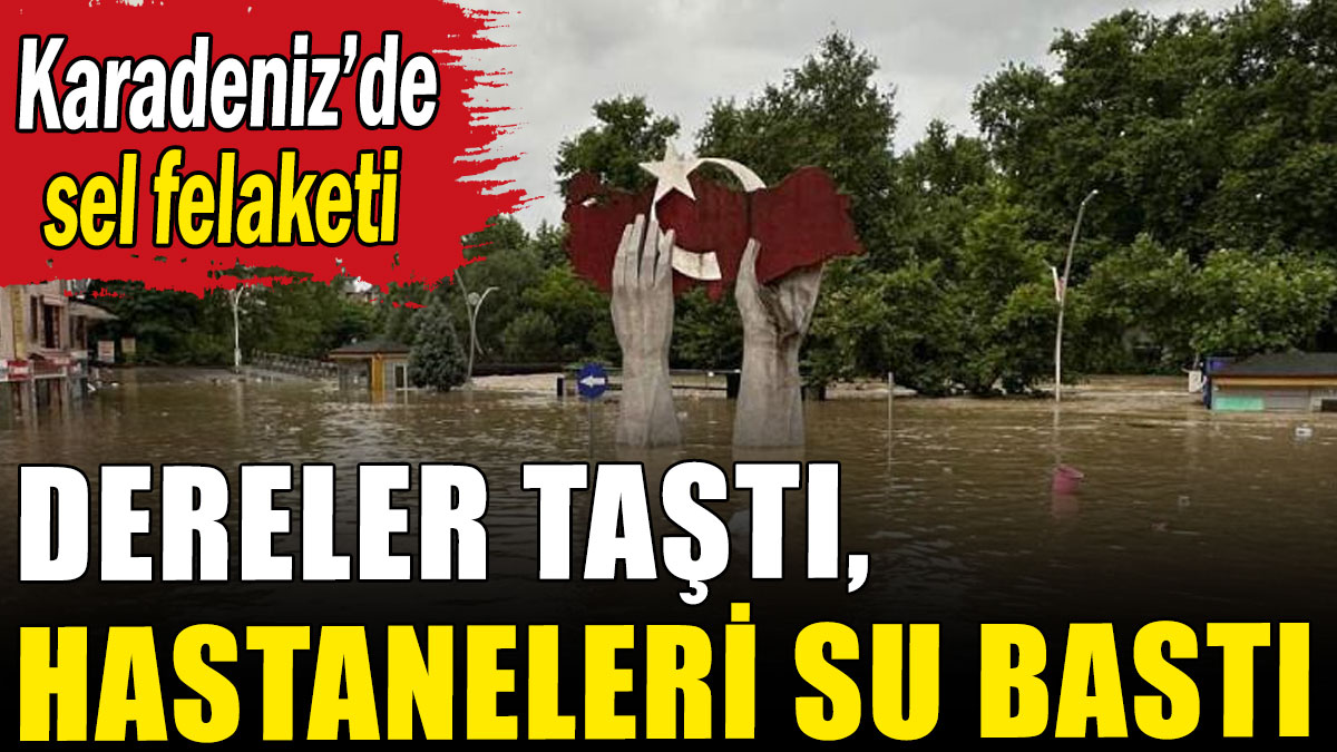 Karadeniz'de sel felaketi: Dereler taştı, hastaneleri su bastı