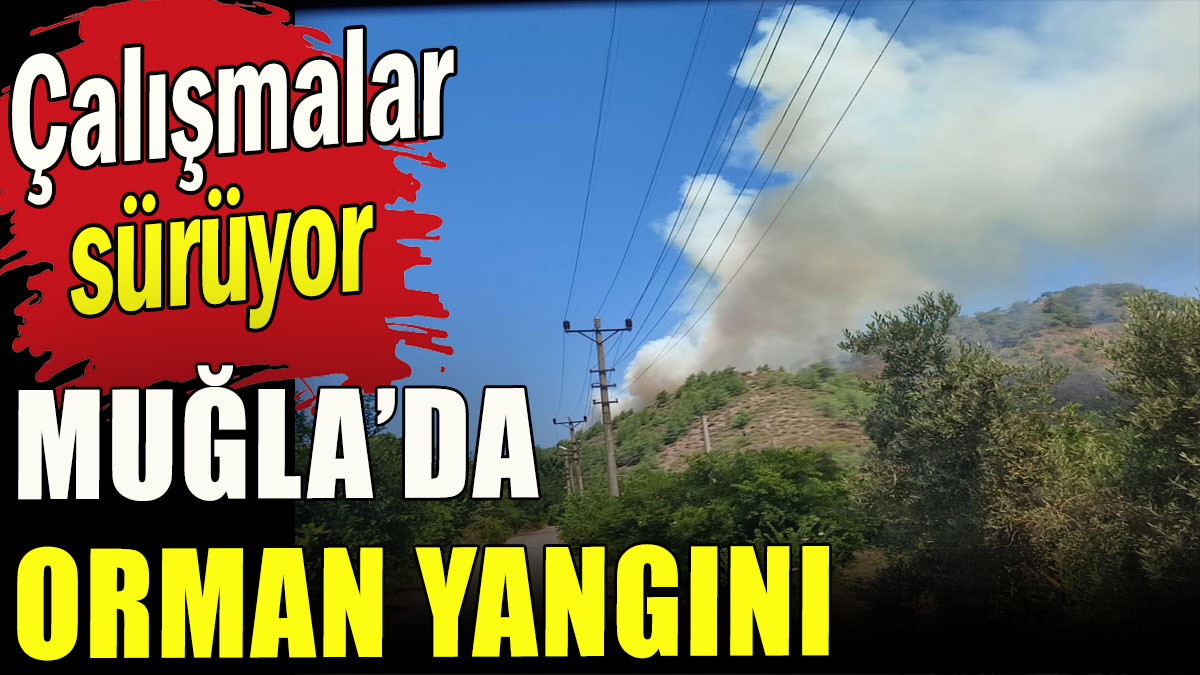 Muğla'da orman yangını