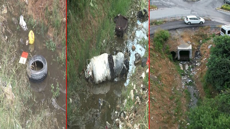 Haşere yuvasına dönen dere mahalleliyi isyan ettirdi