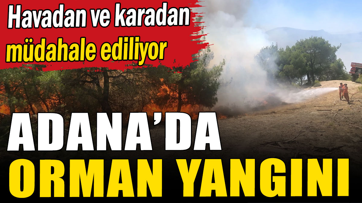 Adana'da orman yangını