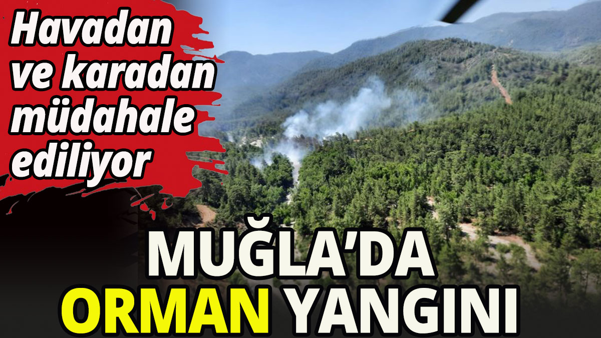 Köyceğiz'de orman yangını