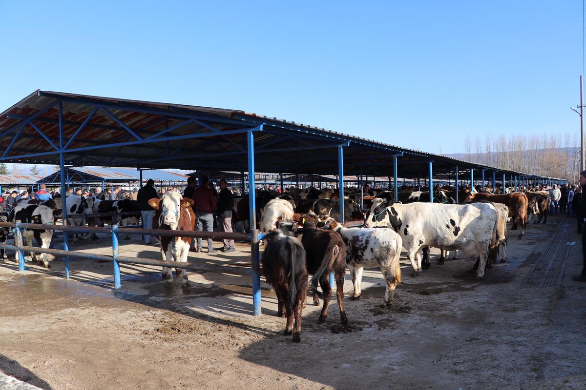 'Şap hastalığı' nedeniyle hayvan pazarı kapatıldı
