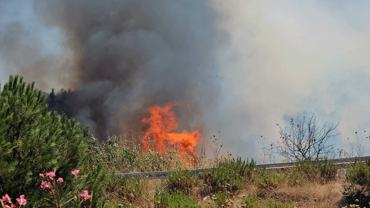 Bodrum Havalimanı kavşağında yangın